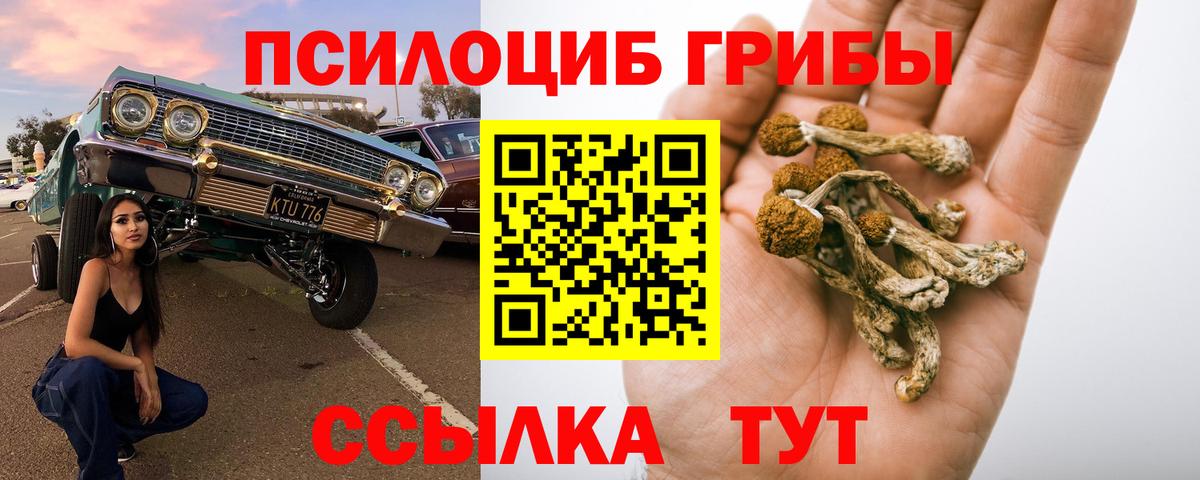 Галлюциногенные грибы MAGIC MUSHROOMS  Вход с VPN  что такое наркотик  Волжск 